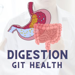 Digestive Health - Wellvis Health Nutrition