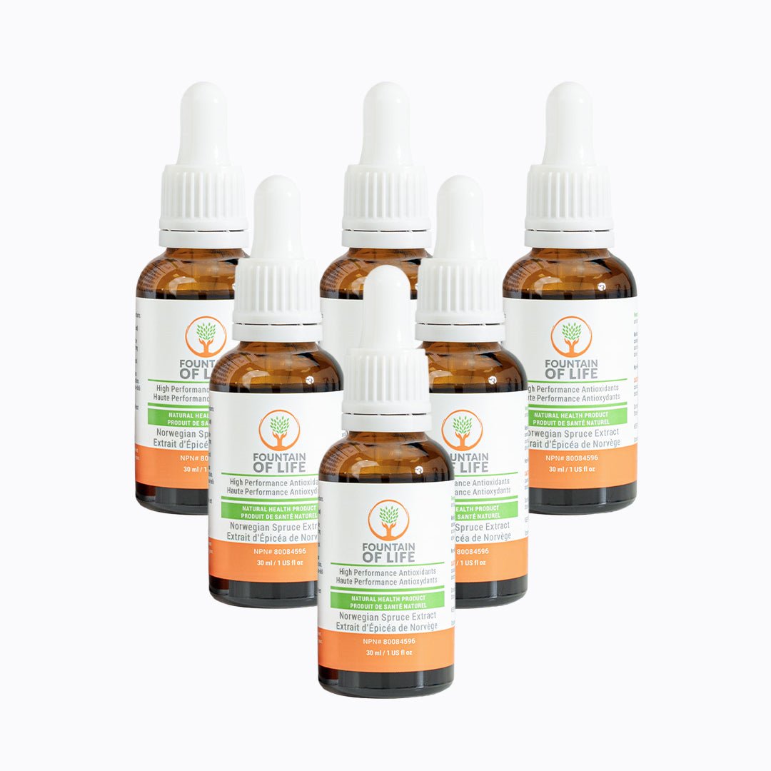 Fountain of Life drops Norwegian Spruce Extract (30 mL)