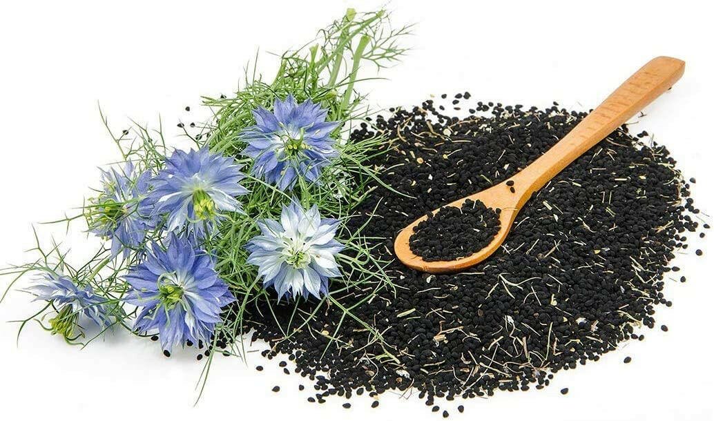 Naka Platinum Organic Black Seed Oil Liquid (125mL | 300mL)