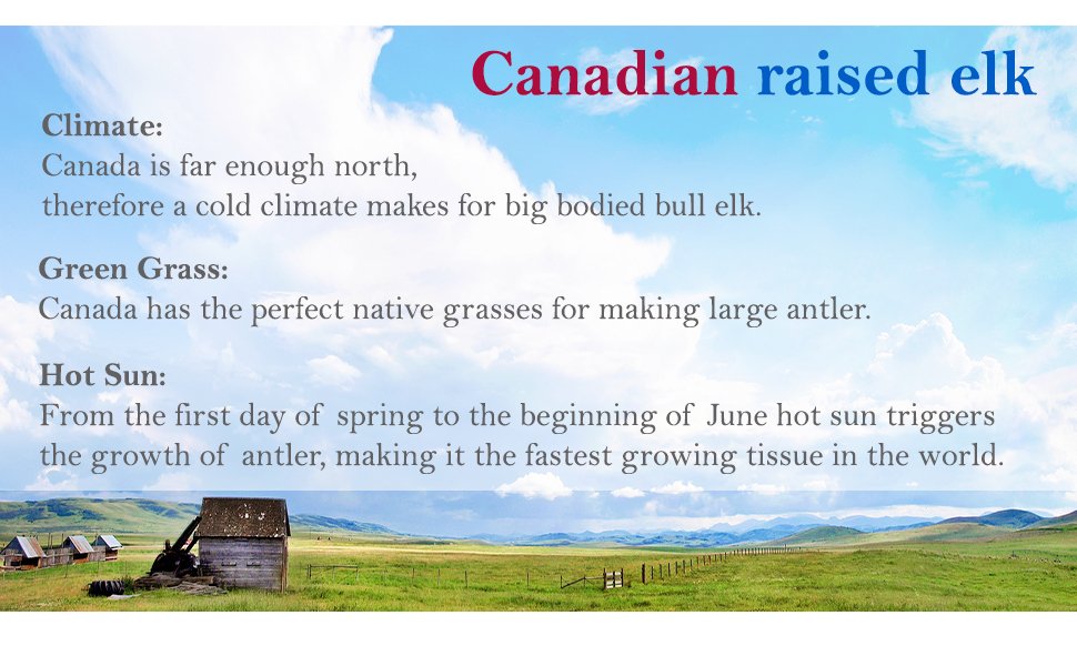 Nutridom Velvet Elk Antler 500mg (30 Vcaps)