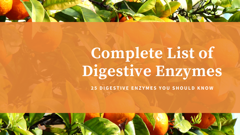 Complete List of Digestive Enzymes: A Closer Look