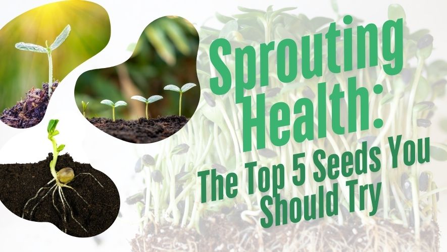 Sprouted Seeds: Unlocking Nature’s Superfoods for Better Health - Wellvis Health Nutrition