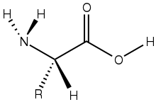 Amino Acids - Wellvis Health Nutrition