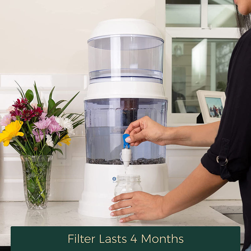 Santevia Alkaline & Fluoride Replacement Filter for the Gravity Water System
