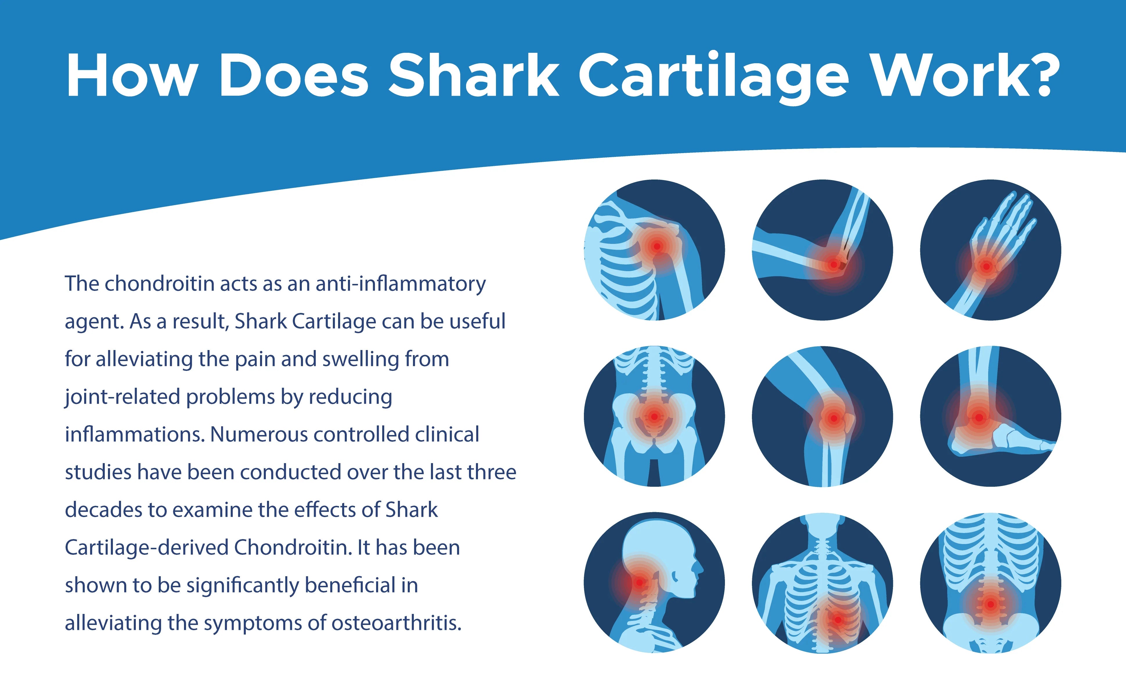 Maplelife Shark Cartilage 750mg (300 Capsules)