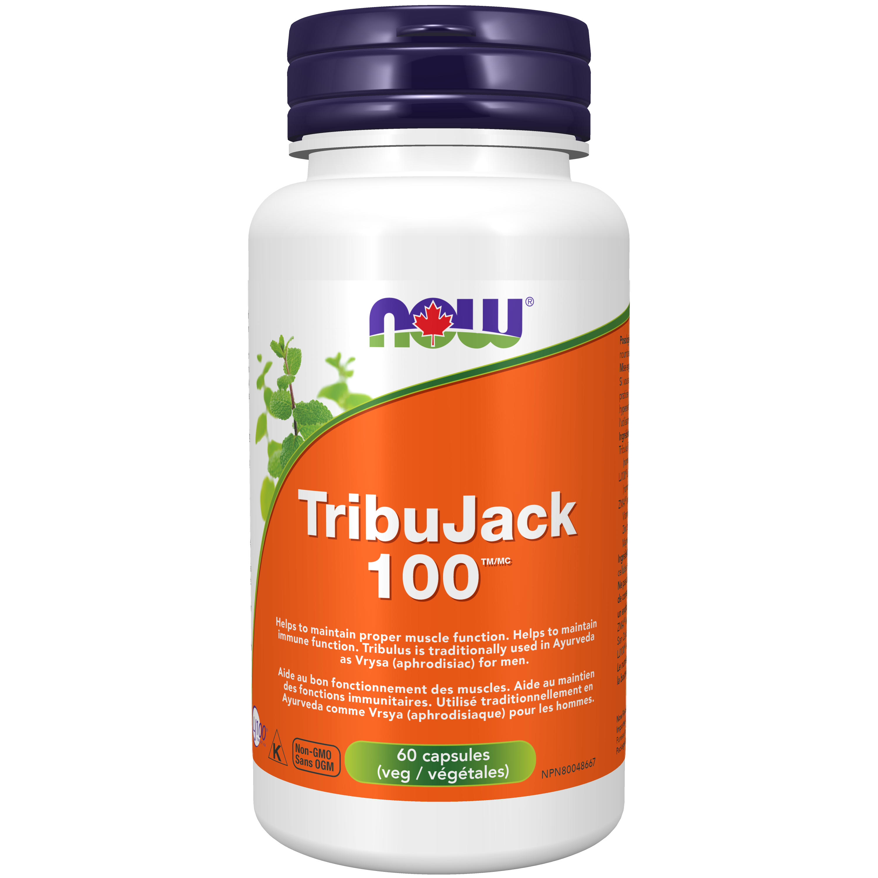 NOW TribuJack 100 (60 Veg Caps)