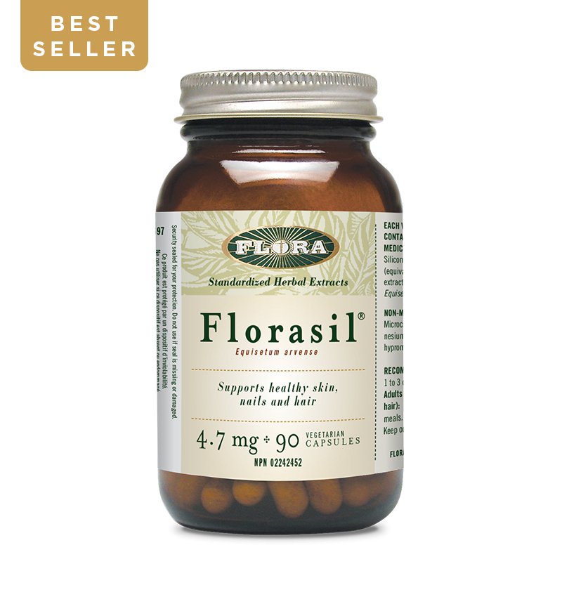 Florisel Script Roll over image to zoom in Click on image to zoom