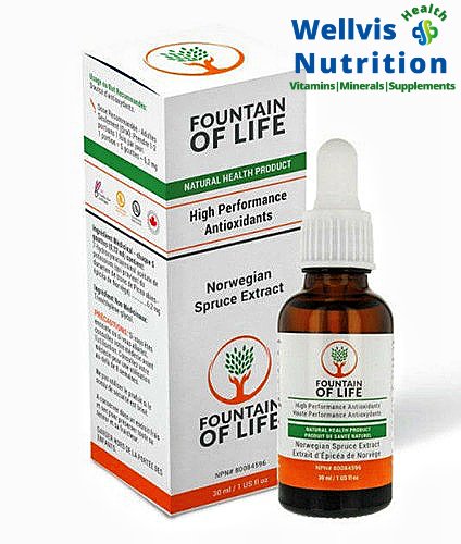 Fountain of Life drops Norwegian Spruce Extract (30 mL)