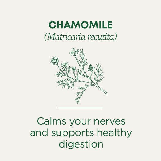 Traditional Medicinals Organic Chamomile Tea (16 bags)