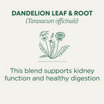 Traditional Medicinals Organic Dandelion Leaf & Root Tea (16 bags)