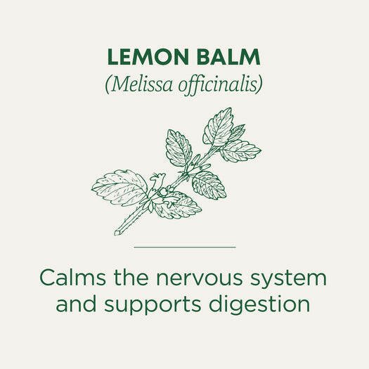 Traditional Medicinals Organic Lemon Balm Tea (16 bags)