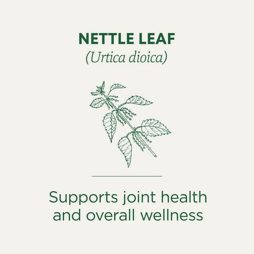 Traditional Medicinals Organic Nettle Leaf Tea (16 bags)