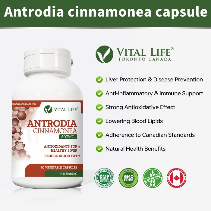 Vital Life Antrodia Cinnamonea (60 Capsules)