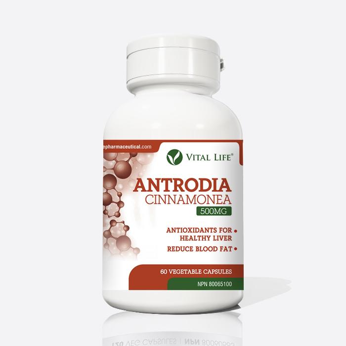 Vital Life Antrodia Cinnamonea (60 Capsules)