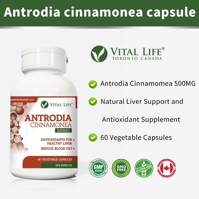 Vital Life Antrodia Cinnamonea (60 Capsules)