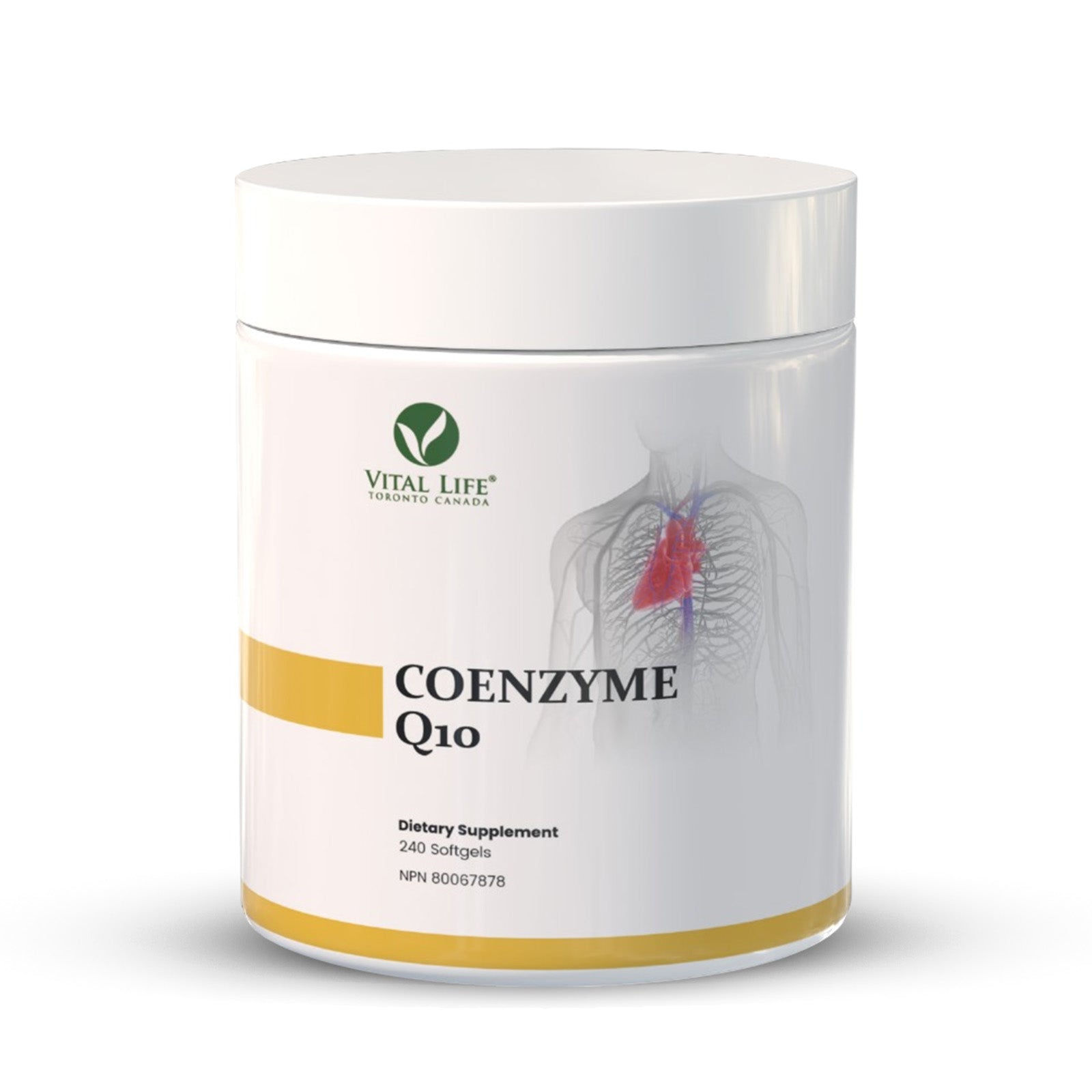 Vital Life Coenzyme Q10 100mg (240 softgels)