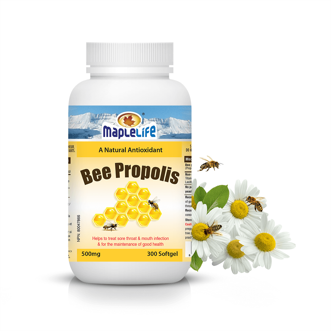 Maplelife Bee Propolis 500mg (300 Softgel)