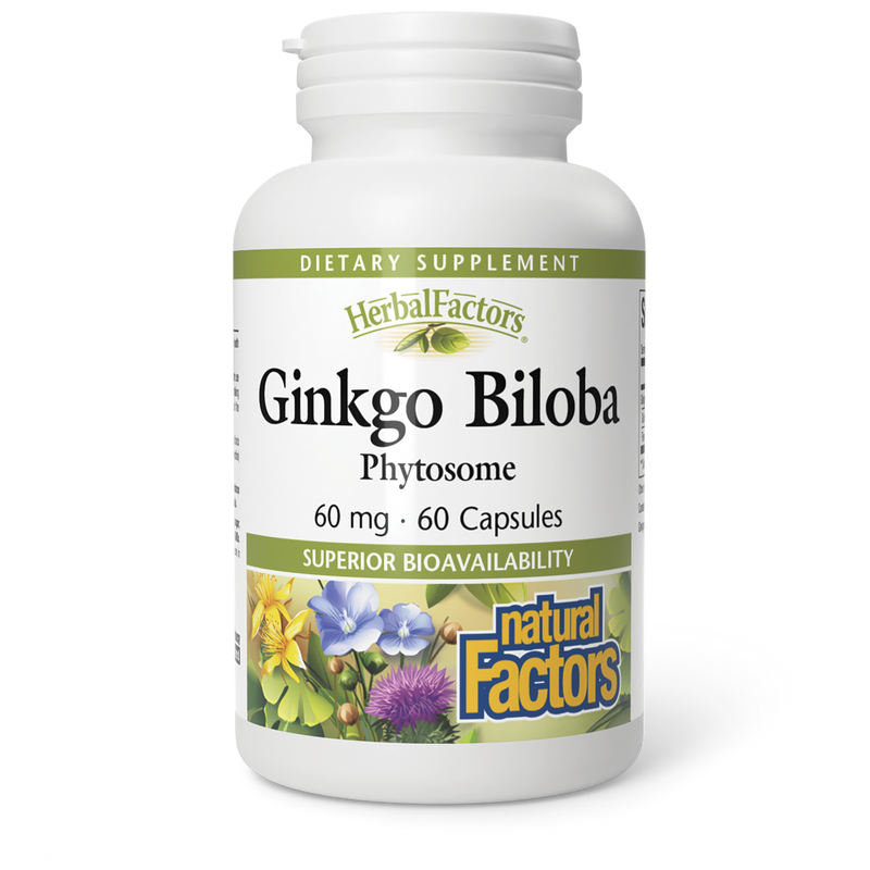 Natural Factors HerbalFactors Ginkgo Biloba Phytosome 60 mg (60 Capsules)