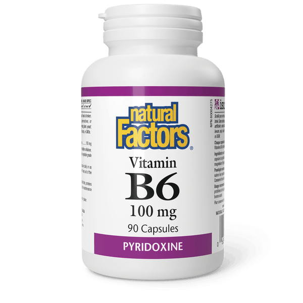 Natural Factors Vitamin B6 100mg (90 Capsules)