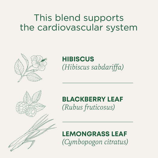 Traditional Medicinals Organic Hibiscus Tea (16 bags)